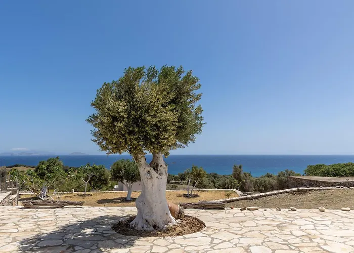 펜션 Mitatos Naxos - Apeiranthos Ligaridia