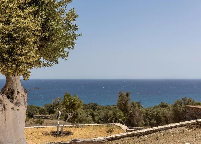 Mitatos Naxos - Apeiranthos *